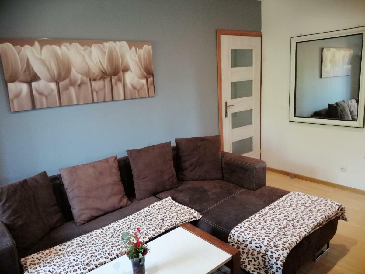 Schody Do Nieba Apartment Zakopane Exterior photo
